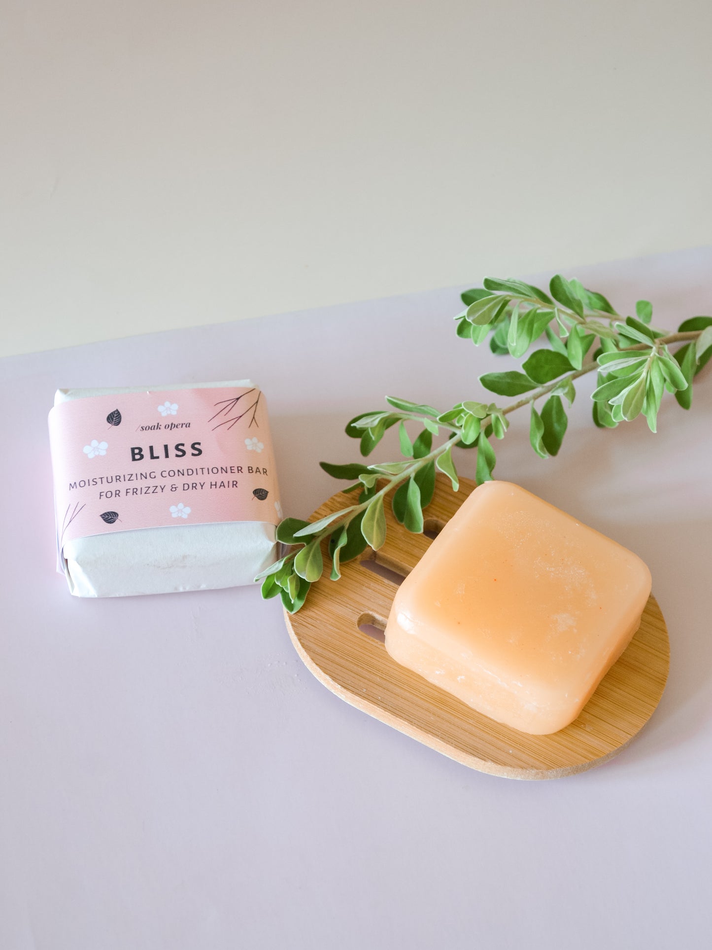 Bliss Moisturizing Conditioner Bar (for frizzy & dry hair)